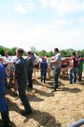 comice-agricole-2009 (15)